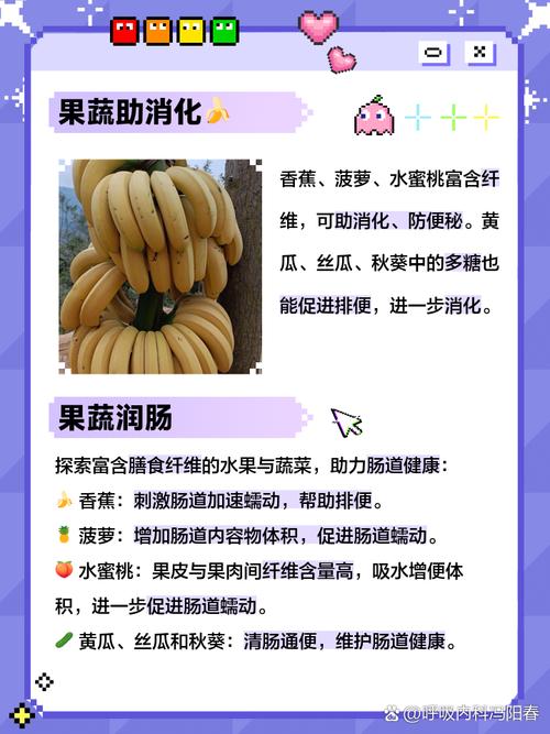 草莓秋葵菠萝蜜黄瓜丝瓜iOS版隐藏功能曝光：免费解锁健康食谱新玩法