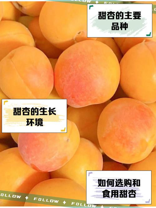 甜杏视频高效解决方案:如何实现无限次数的优质体验?深度解析核心优势 甜杏视频高效解决方案:如何实现无限次数的优质体验?深度解析核心优势