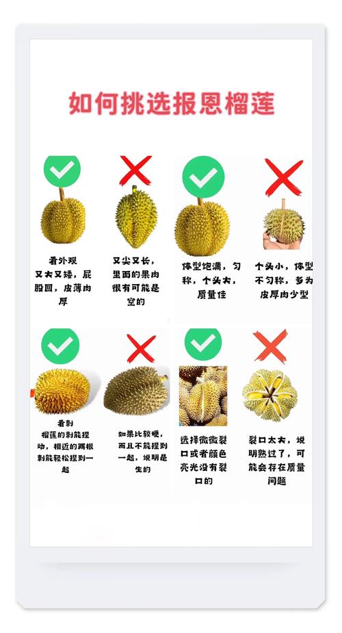 榴莲视频不看不行：3大核心算法解析如何打造用户无法抗拒的高黏性内容生态