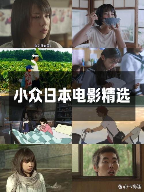 日本冷门影视资源哪里找？揭秘3个隐藏入口与观看技巧