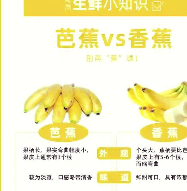 2025年香蕉芭乐向日葵等5大免费资源下载指南：新手必看的10个实用技巧