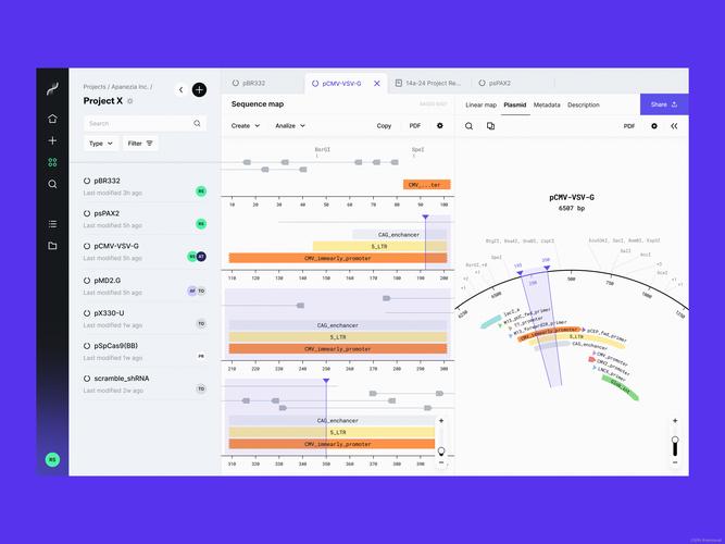 极乐园app官网高效解决方案:如何通过用户体验优化实现用户增长? 极乐园app官网高效解决方案:如何通过用户体验优化实现用户增长?