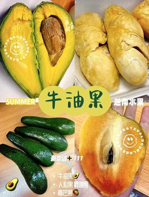 莓黄瓜榴莲在线观看的隐藏技巧:高清资源与行业现状深度解析 莓黄瓜榴莲在线观看的隐藏技巧:高清资源与行业现状深度解析