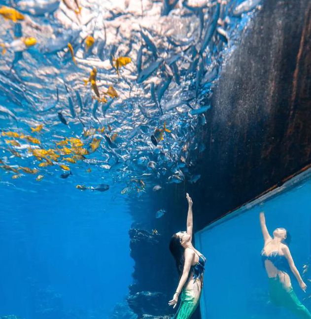 揭秘美人鱼视频内容安全审核技巧：避开违规风险，高效创作优质内容