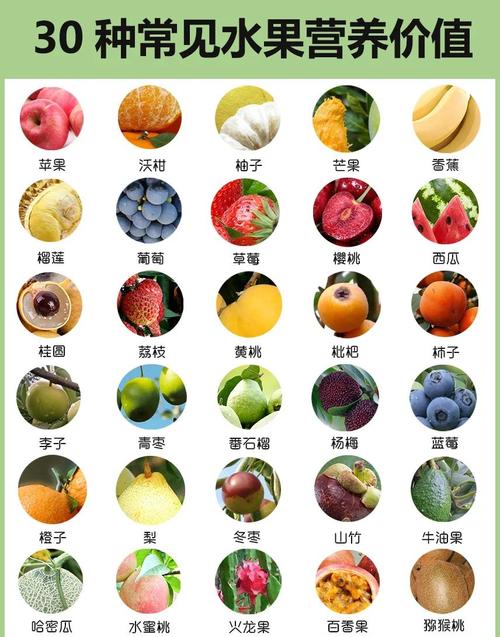 3大水果营养解析+5部科普视频推荐：解锁儿童健康饮食与生命教育新方案