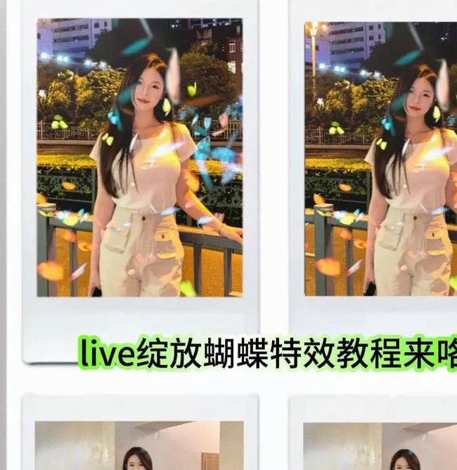 抖抈花蝴蝶视频拍摄技巧：免费资源获取与创意应用全解析