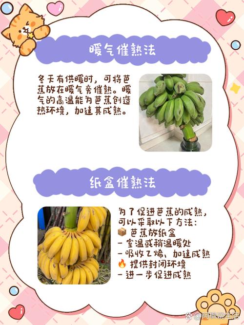 香蕉芭乐向日葵鸭脖丝瓜小猪免费版使用技巧：如何高效获取优质资源与隐藏功能？