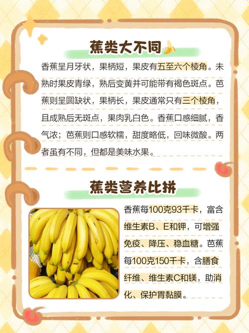 香蕉芭乐向日葵鸭脖丝瓜小猪免费版使用技巧：如何高效获取优质资源与隐藏功能？