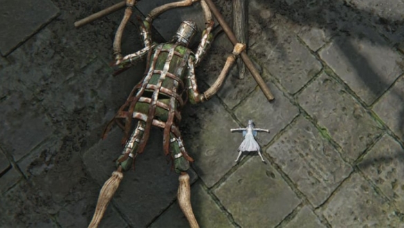 你是否想知道如何在艾尔登法环中体验超萌复仇者？巨剑萝莉模组现已上线！