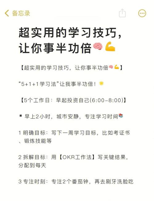 如何高效使用mdapp01.tv？这10个隐藏功能助你提升效率