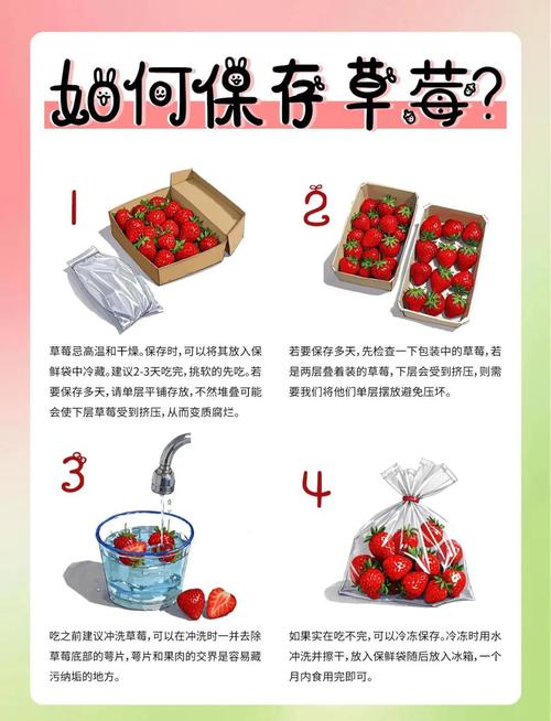 深夜如何通过草莓.combo2.免费释放压力？实用技巧大揭秘