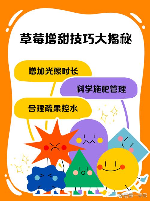 深夜如何通过草莓.combo2.免费释放压力？实用技巧大揭秘