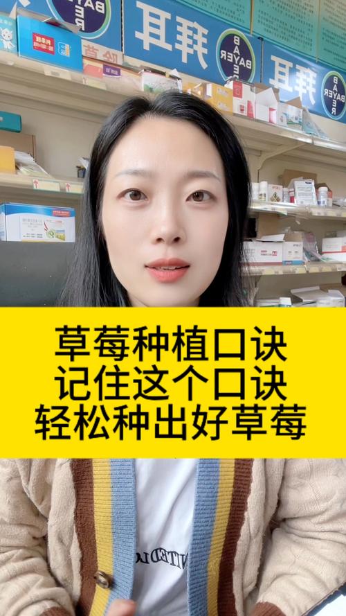 深夜如何通过草莓.combo2.免费释放压力？实用技巧大揭秘