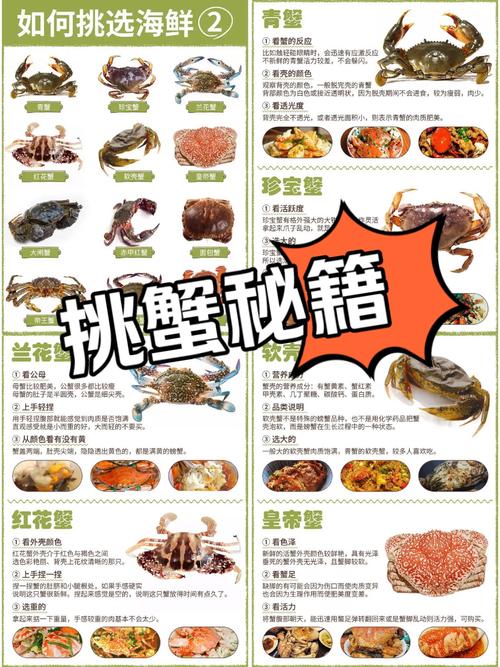 【揭秘】螃蟹影视免费观看的隐藏技巧,为何千万用户直呼超值? 【揭秘】螃蟹影视免费观看的隐藏技巧,为何千万用户直呼超值?