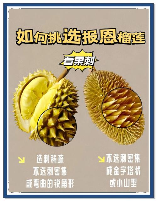 榴莲视频无限制观看的隐藏技巧？揭秘高清资源获取终极指南