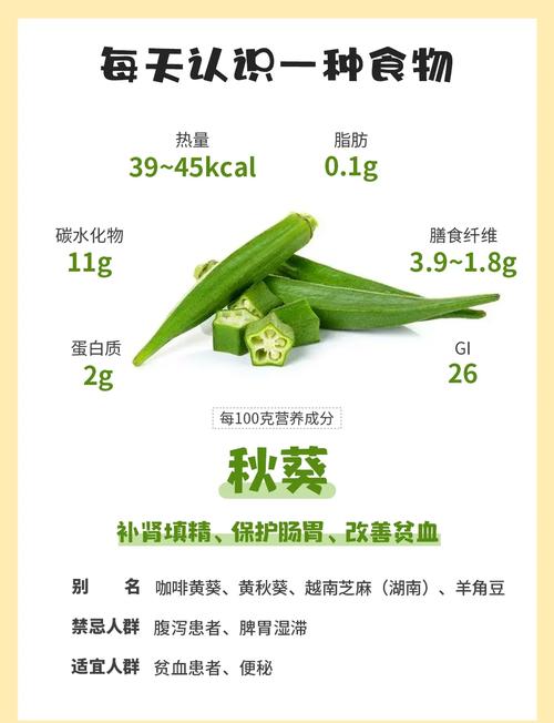 秋葵app秋葵官方5大隐藏功能解析:3分钟掌握新手必看的高效使用技巧 秋葵app秋葵官方5大隐藏功能解析:3分钟掌握新手必看的高效使用技巧