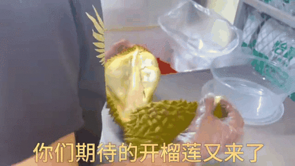 丝瓜草莓榴莲老版本为何备受追捧？揭秘用户不愿升级的三大隐藏优势