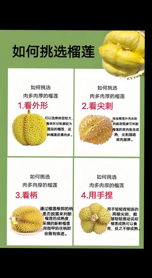 草莓无限看榴莲免费版有哪些隐藏功能?资深用户实测分享5大技巧 草莓无限看榴莲免费版有哪些隐藏功能?资深用户实测分享5大技巧