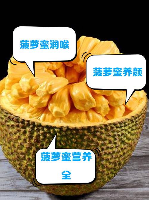 菠萝菠萝蜜视频免费版资源哪里找?这3个方法助你高效获取优质内容 菠萝菠萝蜜视频免费版资源哪里找?这3个方法助你高效获取优质内容