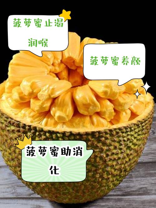 菠萝菠萝蜜视频免费版资源哪里找?这3个方法助你高效获取优质内容 菠萝菠萝蜜视频免费版资源哪里找?这3个方法助你高效获取优质内容