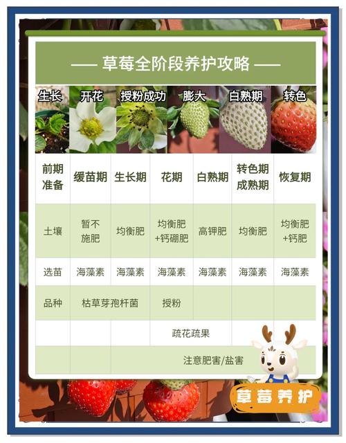 12个生态农场必备秘诀：芭乐草莓丝瓜种植+鸭脖小猪养殖全解析（附专家推荐方案）