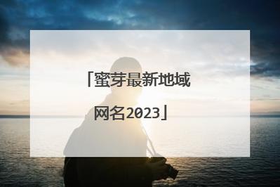 蜜芽miya国产永不失联2025最新版深度解析：为何成为行业稳定连接首选方案？