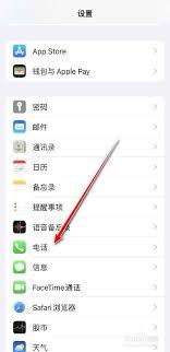 苹果手机来电全屏显示怎么设置？这一招让你的来电酷炫又实用！