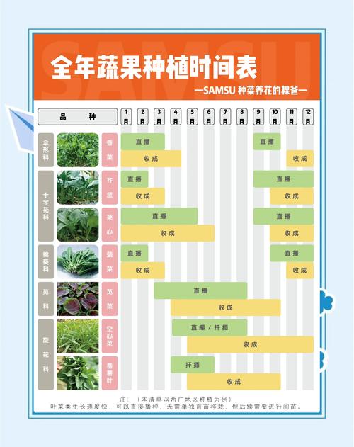 家庭种植必看!草莓丝瓜向日葵黄瓜高产5大法则及绿巨人18网页工具实操指南 家庭种植必看!草莓丝瓜向日葵黄瓜高产5大法则及绿巨人18网页工具实操指南
