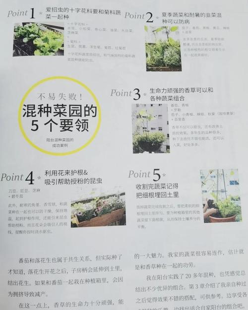 家庭菜园必备:绿巨人黄瓜与秋葵高产技巧,草莓香蕉混种指南助力新手零失败 家庭菜园必备:绿巨人黄瓜与秋葵高产技巧,草莓香蕉混种指南助力新手零失败