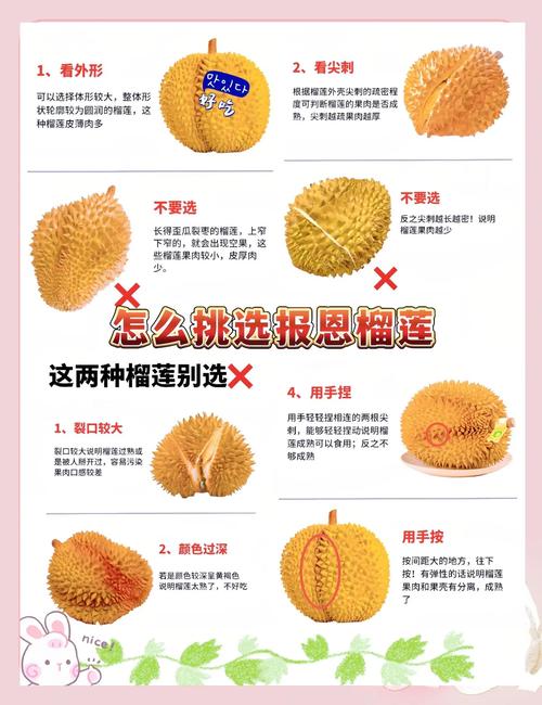 草莓榴莲组合2.0 vs 传统夜宵：深夜减压如何选？实测口感与健康双解析