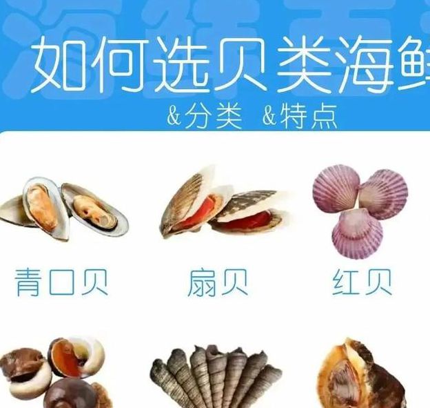 5大实用技巧教你免费观看高清贝壳视频,附2025年热门资源推荐 5大实用技巧教你免费观看高清贝壳视频,附2025年热门资源推荐