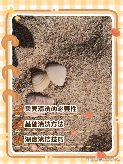 5大实用技巧教你免费观看高清贝壳视频,附2025年热门资源推荐 5大实用技巧教你免费观看高清贝壳视频,附2025年热门资源推荐