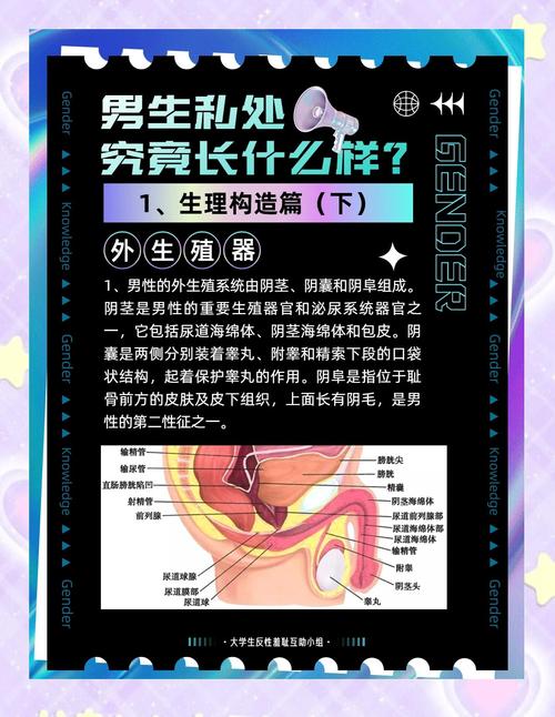 10个两性健康知识科普网站推荐：专业解析与合法资源获取指南