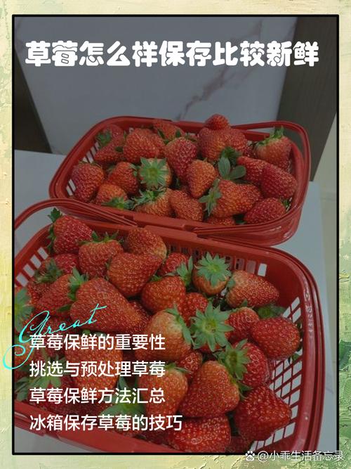 草莓视频在线观看免费完整：3个高清流畅资源获取的独家技巧解析