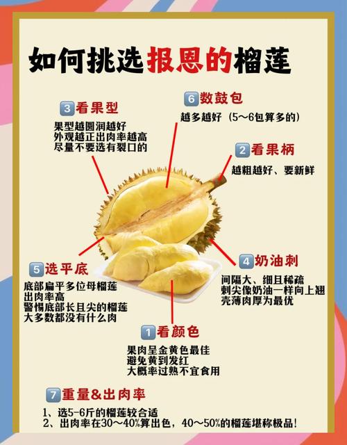 幸福宝1024榴莲视频内容亮点解析：如何通过差异化策略提升用户黏性？