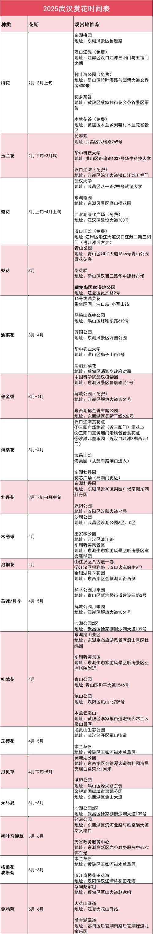 天堂樱桃资源在线获取全攻略：5种安全高效方法及常见问题解答