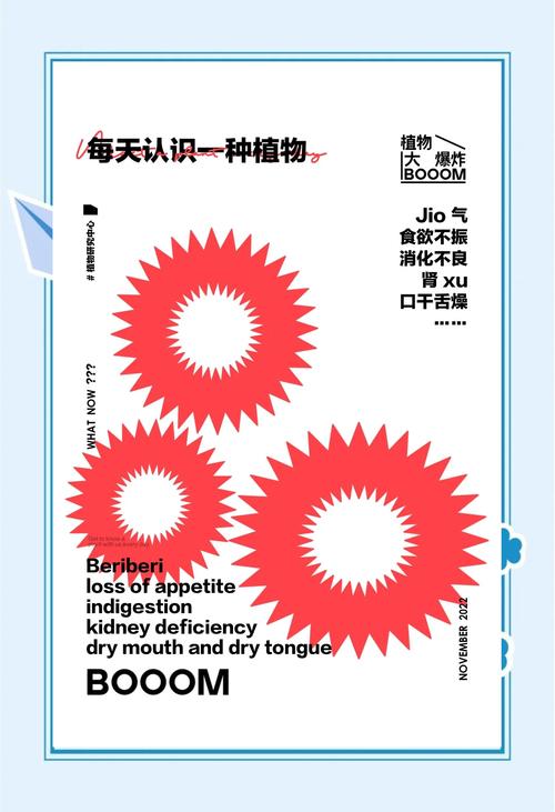 荔枝无限观看免费资源背后的秘密：资深用户揭秘隐藏技巧与实用指南