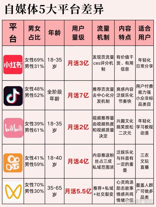 2025年不可错过的5大新秀平台推荐：流量爆发与变现全解析