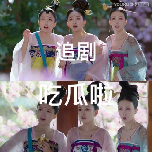 5大平台+3个隐藏看点！跟妃子三国全解析，追剧不踩坑