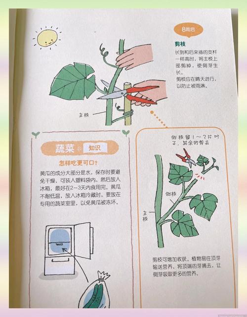 丝瓜黄瓜茄子秋葵草莓如何用iOS提升种植效率？这5个技巧90%的人不知道！