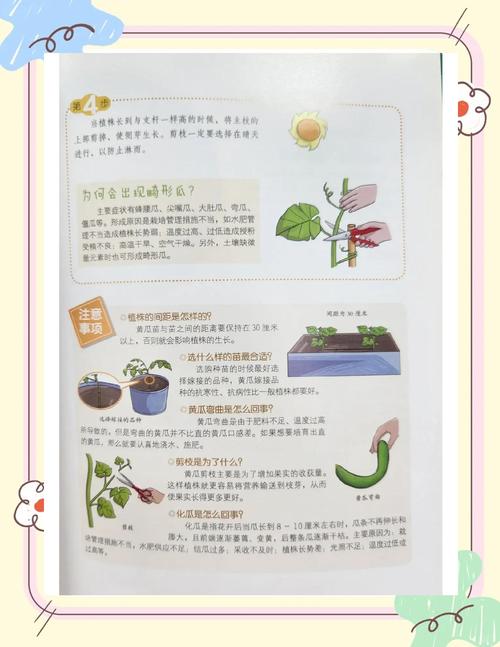 丝瓜黄瓜茄子秋葵草莓如何用iOS提升种植效率？这5个技巧90%的人不知道！