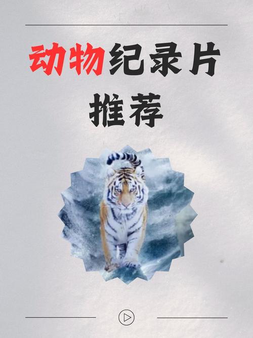 传统动物纪录片 vs 人禽交互电影：哪种观影体验更符合未来趋势？