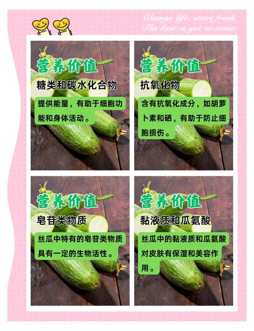 丝瓜黄瓜草莓向日葵秋葵蜜桃：藏在阳台的抗衰密码，为何让养生达人都疯狂？