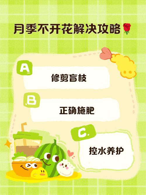 如何安全使用不收费黄台的app网站花季？专家解析三大避坑技巧