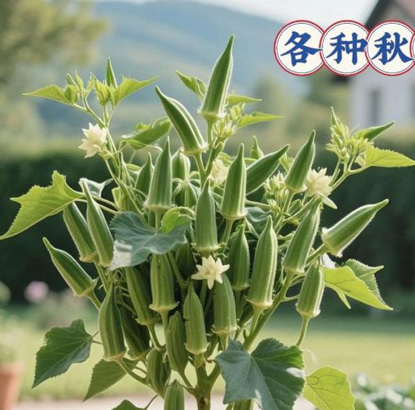 秋葵茄子丝瓜种植技巧全解析：绿巨人导航助你实现高产高效管理