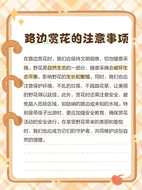 野花在线视频免费观看的3大隐藏技巧：资源获取与安全避坑指南
