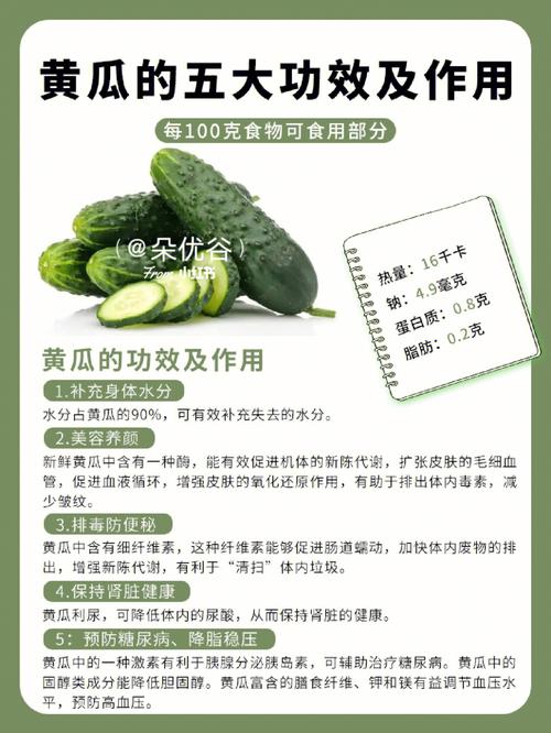 绿巨人黄瓜和普通黄瓜有何不同？种植达人分享5大高产秘诀与病虫害防治方案
