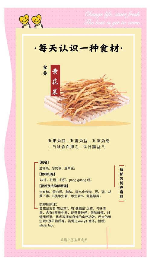 资深园艺师推荐：蜜芽忘忧草二区老狼的5大必学养护技巧与品种解析