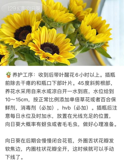 如何在iOS设备上管理向日葵、秋葵、草莓等植物？这些园艺技巧你掌握了吗？