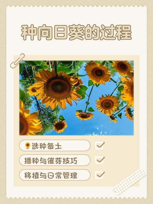 如何在iOS设备上管理向日葵、秋葵、草莓等植物？这些园艺技巧你掌握了吗？